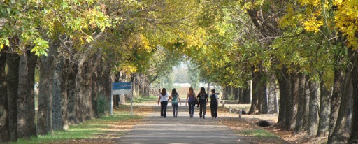 Programa de Extensión Universitaria y Formación al Trabajo en la Mariápolis Lía