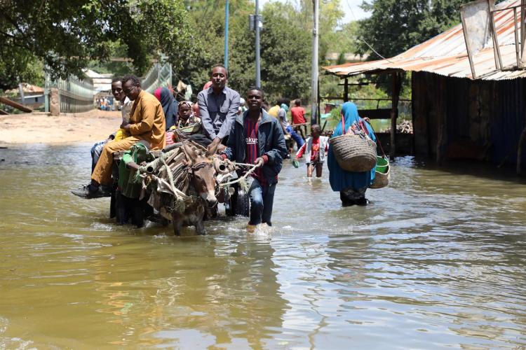 El Papa pidió ayuda internacional ante la crisis humanitaria en Somalia