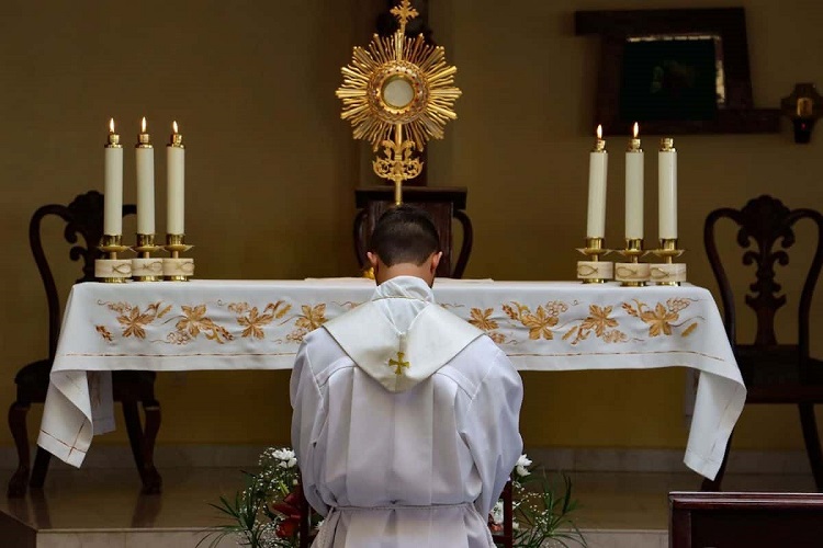 Francia: La Iglesia registra signos de esperanza de superar la crisis vocacional