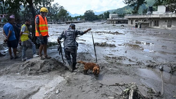 El Papa expresó su cercanía a las víctimas de la tragedia en Nepal