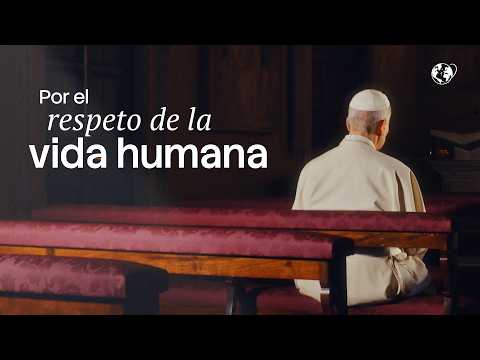 En julio, León XIV pide rezar por la protección de la vida humana