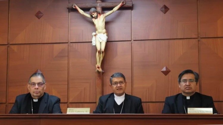 Los obispos de Ecuador pidieron archivar ley sobre reproducción asistida