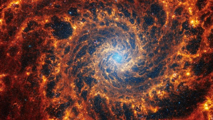 'Mirando el cielo, admiramos la belleza del Creador', dijo León XIV a los astrónomos