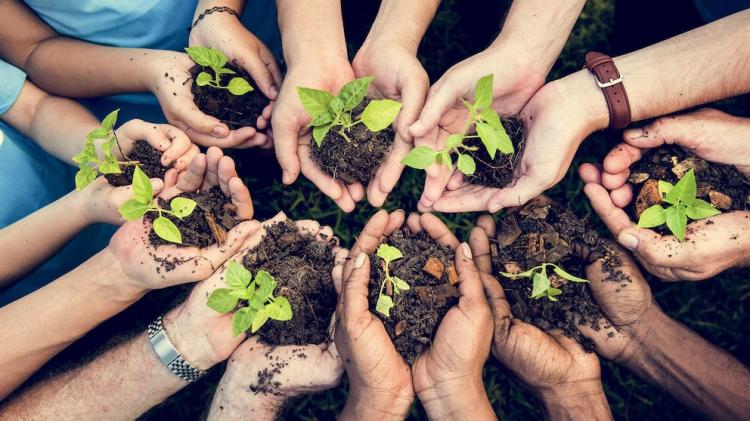Mons. Lozano: 'Cuidemos el planeta. No tenemos otro'