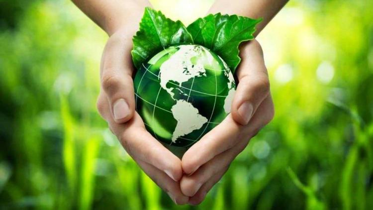 Neuquén: renovado llamado a la conversión ecológica integral