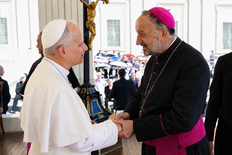 San Luis: el papa León XIV recibió en audiencia a Mons. Barba