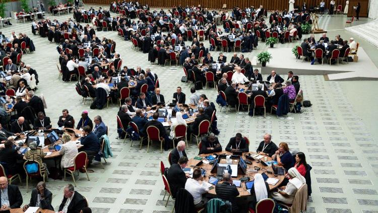 Sínodo: un 'plan de trabajo' para el proceso de seguimiento